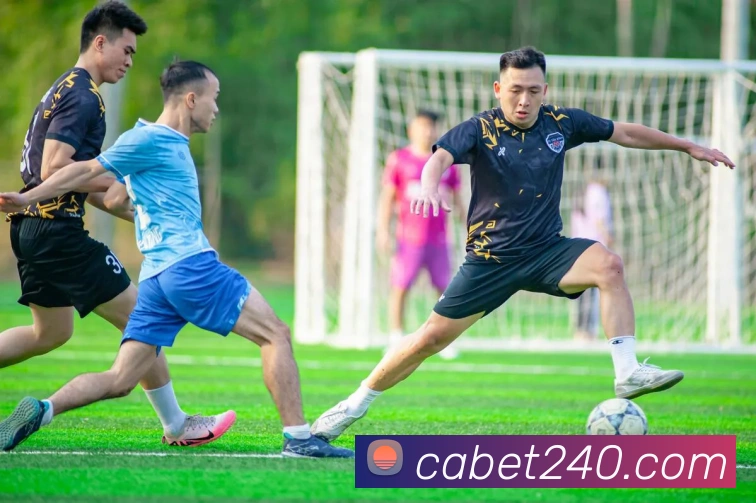 平台展示图